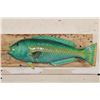 Image 1 : *Rarely Seen* Real Skin RAINBOW PARROTFISH Mount