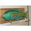 Image 2 : *Rarely Seen* Real Skin RAINBOW PARROTFISH Mount