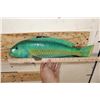 Image 4 : *Rarely Seen* Real Skin RAINBOW PARROTFISH Mount