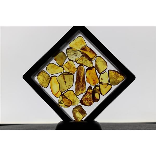 (20) Pieces of Authentic "Baltic Gold" AMBER Fossil Gemstones (ONE$)