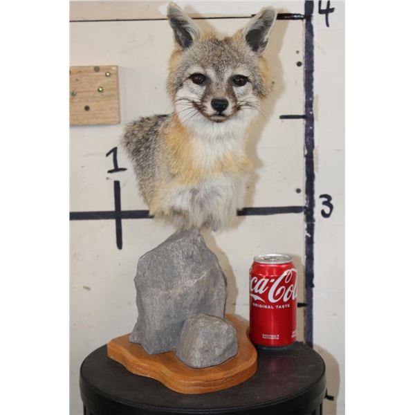 GREY FOX Table Pedestal