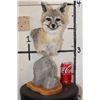 Image 1 : GREY FOX Table Pedestal