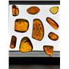 Image 11 : (10) Pieces of Authentic Myanmar AMBER Fossil Insect and Plant Specimens, Weight: 12.83 g (ONE$)