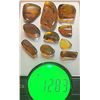 Image 1 : (10) Pieces of Authentic Myanmar AMBER Fossil Insect and Plant Specimens, Weight: 12.83 g (ONE$)