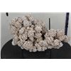 Image 1 : "Desert Rose" GYPSUM or SELENITE Crystal Formation with a Display Stand, Weight: 4lbs 5oz