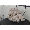 Image 3 : "Desert Rose" GYPSUM or SELENITE Crystal Formation with a Display Stand, Weight: 4lbs 5oz