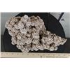 Image 4 : "Desert Rose" GYPSUM or SELENITE Crystal Formation with a Display Stand, Weight: 4lbs 5oz
