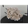 Image 5 : "Desert Rose" GYPSUM or SELENITE Crystal Formation with a Display Stand, Weight: 4lbs 5oz