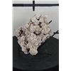 Image 6 : "Desert Rose" GYPSUM or SELENITE Crystal Formation with a Display Stand, Weight: 4lbs 5oz