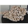 Image 7 : "Desert Rose" GYPSUM or SELENITE Crystal Formation with a Display Stand, Weight: 4lbs 5oz