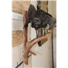 Image 8 : *Rarely Seen* Life-sized CARRION CROW Mounted on a Wood Perch