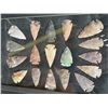 Image 2 : (18) ARROWHEAD Points in a Glass Case (ONE$)