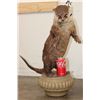 Image 1 : Life-sized Standing RIVER OTTER on a Decorative Base