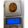 Image 3 : Big 23.1 ct Authentic Myanmar AMBER Plant Resin Fossil with 6 Insect Inclusions