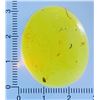 Image 5 : Big 23.1 ct Authentic Myanmar AMBER Plant Resin Fossil with 6 Insect Inclusions