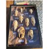 Image 1 : (10) Different kinds of RODENT, PINE MARTEN, MINK & SHREW Skulls with Scientific names (ONE$)