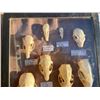 Image 2 : (10) Different kinds of RODENT, PINE MARTEN, MINK & SHREW Skulls with Scientific names (ONE$)