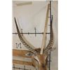 Image 10 : KAFUE LECHWE Shoulder Mount