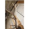 Image 11 : XL Mounted 14-Point ELK Antler Rack on a Nice Fractal Wood Burned Plaque