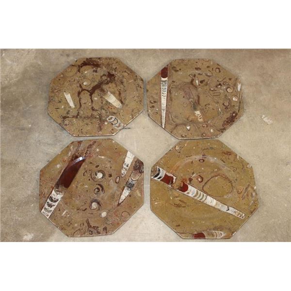 Set of (4) Polished ORTHOCERAS and AMMONITE Fossil Dinner Plates (ONE$)