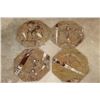 Image 1 : Set of (4) Polished ORTHOCERAS and AMMONITE Fossil Dinner Plates (ONE$)