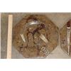 Image 2 : Set of (4) Polished ORTHOCERAS and AMMONITE Fossil Dinner Plates (ONE$)