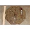 Image 7 : Set of (4) Polished ORTHOCERAS and AMMONITE Fossil Dinner Plates (ONE$)