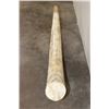 Image 9 : Antique Hand-carved and Scrimshawed Chinese Tusk Horn made from Bone Plates