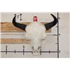 Image 2 : XXL BISON/BUFFALO Skull with a Wire Hanger