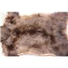 Image 10 : Double Felted Chocolate Phase BLACK BEAR Rug with its Mounted Head
