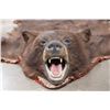 Image 1 : Double Felted Chocolate Phase BLACK BEAR Rug with its Mounted Head