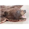 Image 4 : Double Felted Chocolate Phase BLACK BEAR Rug with its Mounted Head