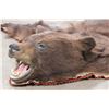 Image 5 : Double Felted Chocolate Phase BLACK BEAR Rug with its Mounted Head