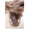 Image 7 : Double Felted Chocolate Phase BLACK BEAR Rug with its Mounted Head