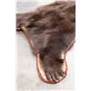 Image 8 : Double Felted Chocolate Phase BLACK BEAR Rug with its Mounted Head