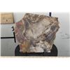 Image 1 : BIG 9lb 7oz Natural Arizona Rainbow PETRIFIED WOOD Slab Slice with Stand
