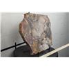 Image 2 : BIG 9lb 7oz Natural Arizona Rainbow PETRIFIED WOOD Slab Slice with Stand
