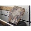 Image 3 : BIG 9lb 7oz Natural Arizona Rainbow PETRIFIED WOOD Slab Slice with Stand