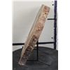 Image 7 : BIG 9lb 7oz Natural Arizona Rainbow PETRIFIED WOOD Slab Slice with Stand