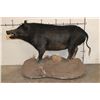 Image 2 : Life-sized HOG on a Reproduction Rock Base with Wheels
