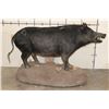 Image 8 : Life-sized HOG on a Reproduction Rock Base with Wheels