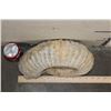 Image 3 : XL 17 lb AMMONITE Fossil Specimen from Morocco