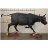 Image 2 : Life-sized Female/Cow CAPE BUFFALO from Africa