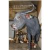 Image 5 : Life-sized Female/Cow CAPE BUFFALO from Africa