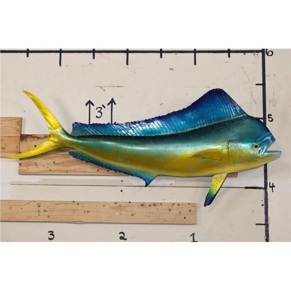 Reproduction MAHI MAHI Fish Mount