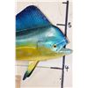 Image 4 : Reproduction MAHI MAHI Fish Mount