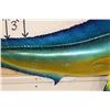 Image 5 : Reproduction MAHI MAHI Fish Mount