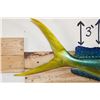 Image 6 : Reproduction MAHI MAHI Fish Mount