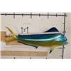 Image 7 : Reproduction MAHI MAHI Fish Mount