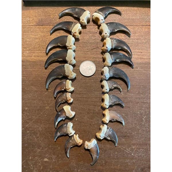 (20) Matching BLACK BEAR Front Claws-All from the same BEAR! (ONE$)